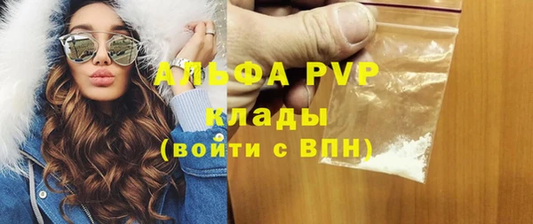 PSILOCYBIN Балахна