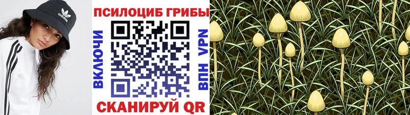 даркнет сайт  Талдом  Галлюциногенные грибы мицелий 